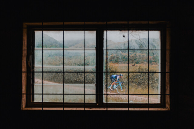 New Zealand Window - 2024
