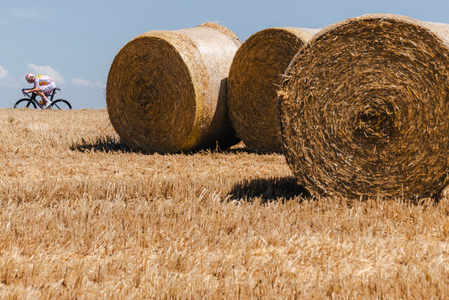 Hay - 2024