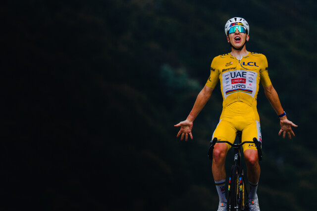 Yellow - 2026